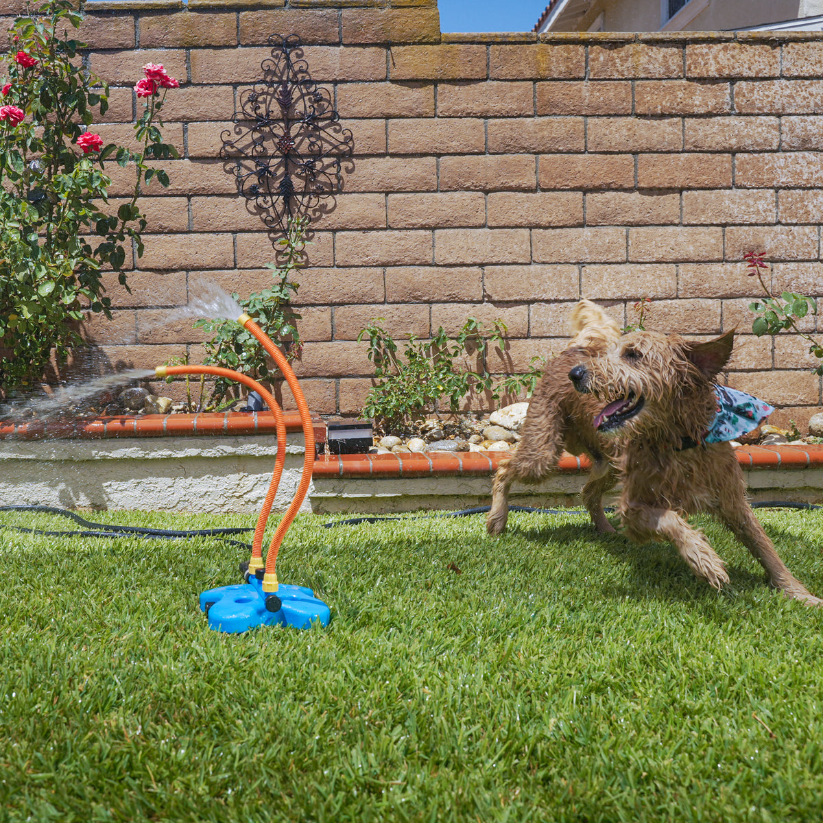 pet water toys