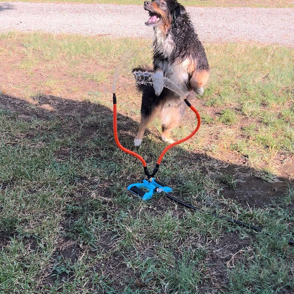 dog hose toy